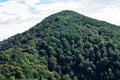 Mountains with Christmas trees against the blue sky with clouds. Beautiful panoramic view of firs and larches coniferous forest Royalty Free Stock Photo