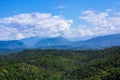 Mountains with Christmas trees against the blue sky with clouds. Beautiful panoramic view of firs and larches coniferous forest Royalty Free Stock Photo