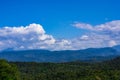 Mountains with Christmas trees against the blue sky with clouds. Beautiful panoramic view of firs and larches coniferous forest Royalty Free Stock Photo