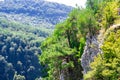 Mountains with Christmas trees against the blue sky with clouds. Beautiful panoramic view of firs and larches coniferous forest Royalty Free Stock Photo