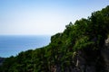 Mountains with Christmas trees against the blue sky with clouds. Beautiful panoramic view of firs and larches coniferous forest Royalty Free Stock Photo