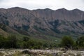 Mountains cliff with erroded soil. Wild outdoor landscape. Adventure tourism. Adventure travel. Usek river valley in Kazakhstan. Royalty Free Stock Photo