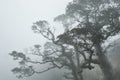 Mountains and clouds & fog.