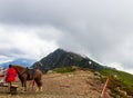Mountains in the clouds. Horse and people on mountain Rosa Khutor, 2320 meters. Russia, Sochi.