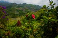 Mountains in the clouds, the villages and the hills with fields. Sabah, Borneo, Malaysia