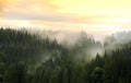 Mountains covered with coniferous forest in fog against a cloudy sky Royalty Free Stock Photo