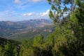 The mountains covered with coniferous trees, Corsica Royalty Free Stock Photo