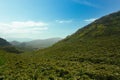 The mountains are covered with green plants that look like bamboo.