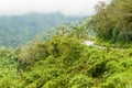 Mountains covered with a lush forest Royalty Free Stock Photo