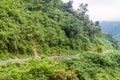 Mountains covered with a lush forest Royalty Free Stock Photo