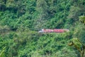 Mountains covered with a lush forest Royalty Free Stock Photo