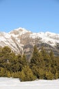 Mountains covered with snow and overgrown with spruce - The Principality of Andorra, Pyrenees, Europe. Royalty Free Stock Photo