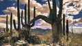 Pusch Ridge in the Catalina Mountain range is framed by iconic Saguaro Cacti