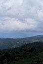 Mountains, fields and forest in cloudy weather. Nature and landscape of national Park in Caucasus. Dense coniferous green summer Royalty Free Stock Photo