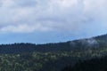 Mountains, fields and forest in cloudy weather. Nature and landscape of national Park in Caucasus. Dense coniferous green summer Royalty Free Stock Photo