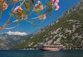 Mountains and flowers. Boat in the sea. Montenegro