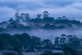 Mountains in fog at beautiful morning in autumn in Dalat city, Vietnam. Royalty Free Stock Photo