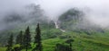 Mountains fog spruce forest green wilderness