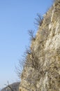 Mountains foggy white blue sky. Chinese autumn mountains. Royalty Free Stock Photo