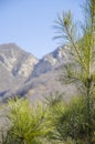 Mountains foggy white blue sky. Chinese autumn mountains. Royalty Free Stock Photo