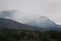 Mountains forest fog. Gray-green neutral landscape in a mountainous area Royalty Free Stock Photo