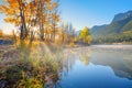 Mountains and forest. Vivid colours during dawn. Natural landscape. Banff National Park, Alberta, Canada Royalty Free Stock Photo