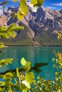 Mountains Framed By Fall Foliage Royalty Free Stock Photo