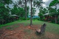 Mountain forest tropical landscape, wide angle photo Royalty Free Stock Photo