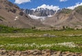 Mountains glacier flowers stones summer Royalty Free Stock Photo