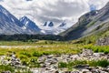 Mountains glacier flowers stones summer Royalty Free Stock Photo