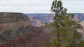 mountains of the Grand Canyon in Colorado wilderness