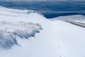 Mountains and Grasses Covered in Golden Snow