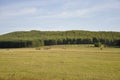 Mountains. Green field with tints of yellow with haystacks and trees far away. Summer, august Royalty Free Stock Photo