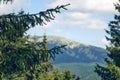 Mountains hills landscape during a sunny day with blue sky clouds. Dark autumn trees. Forest in summer. Hiking in wild mountains.