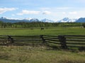 Mountains and horses Royalty Free Stock Photo