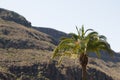 Mountains on the island of gran canaria