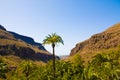 Mountains on the island of gran canaria