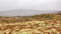 Mountains at the Kvikne district, Norway