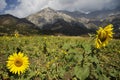 Mountains in Kyrgyzstan Royalty Free Stock Photo