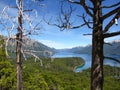 Mountains and lake landscape with dead trees, Bariloche, Argentina, Patagonia Royalty Free Stock Photo