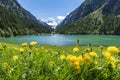 Mountains and lake landscape with flower meadows in early summer. Royalty Free Stock Photo