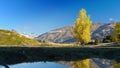 New Zealand Mountains, Mt. Aspiring National Park Royalty Free Stock Photo