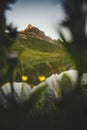 Mountains lake reflection and flowers framing seasonal Landscape Royalty Free Stock Photo