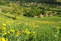 Mountains Landscape