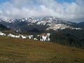 Mountains landscape in early spring