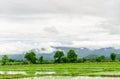 Mountains landscape and fog after rain Royalty Free Stock Photo