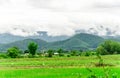 Mountains landscape and fog after rain Royalty Free Stock Photo