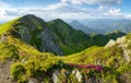 Mountains landscape. Foggy morning. Meadow with flowers. Natural scenery. Carpatians scenery. Royalty Free Stock Photo