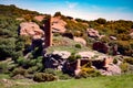 Castle ruins on a stone slab