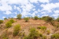 Mountains landscape.sky. Morocco. figs tree Royalty Free Stock Photo